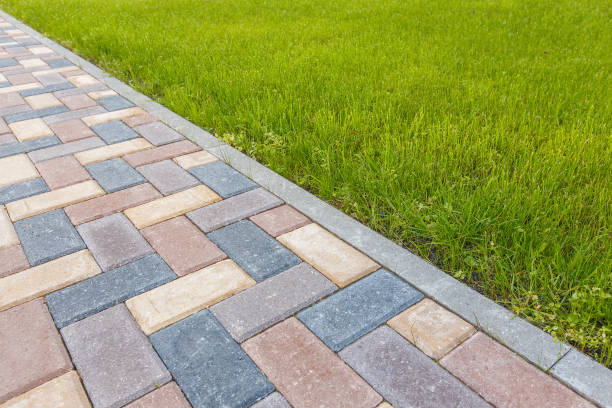 Best Driveway Paving Contractor  in South Windham, CT